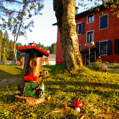 funghi e magia in casa poslen