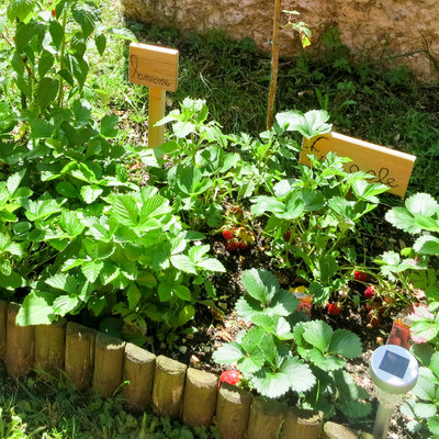 orto giardino casa poslen