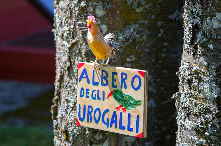 albero degli urogalli casa poslen